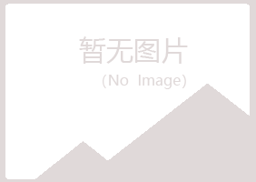 黎川县迎夏能源有限公司